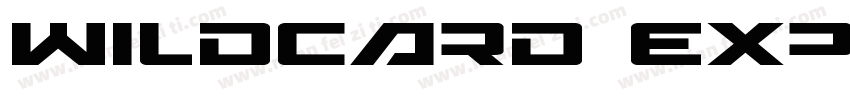 Wildcard Expanded Italic Expanded I字体转换